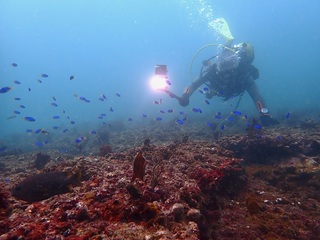 p9219841.jpg