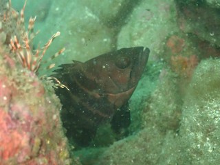 pb190746.jpg