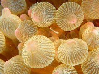 pc311184.jpg