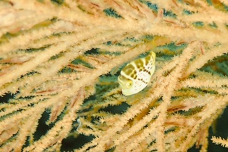 polish_20250719_181213280.jpg