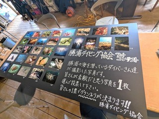 pxl_20240221_033958357.jpg