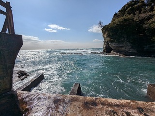 pxl_20250213_024239246.jpg